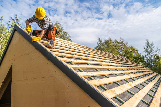 Best Roof Maintenance Services  in Mclouth, KS