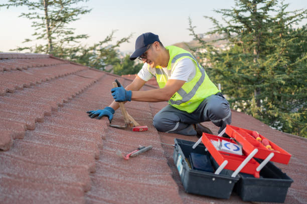 Best Roofing Contractor Near Me  in Mclouth, KS