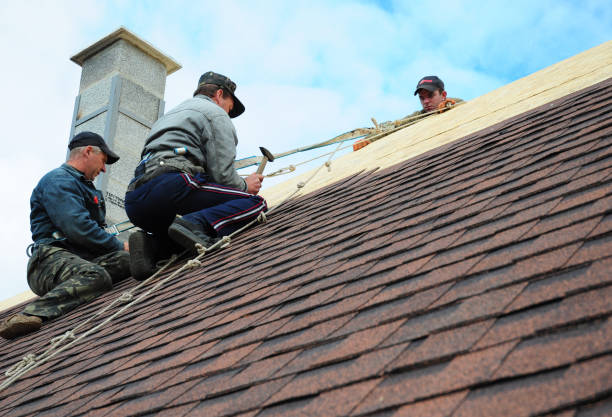 Best Roof Leak Repair  in Mclouth, KS